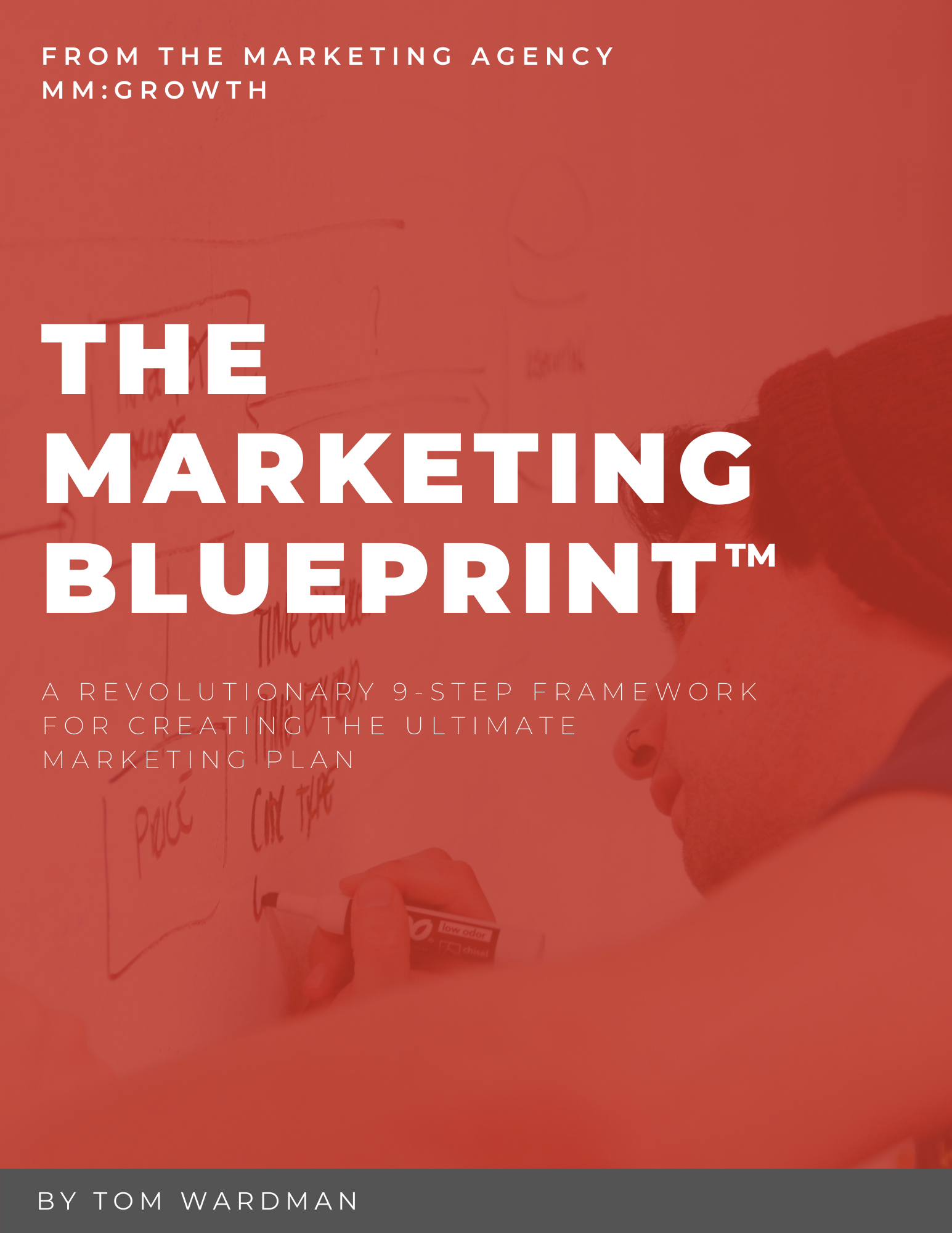 THE MARKETING BLUEPRINT THE MARKETING BLUEPRINT